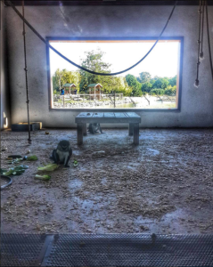 empty-rooms
